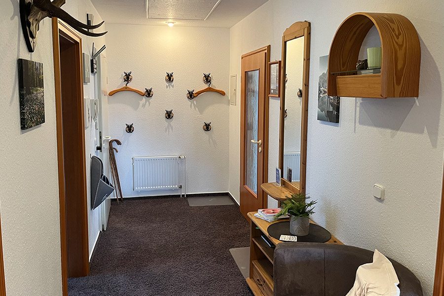ferienwohnungen braunlage harz